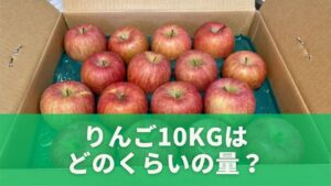 りんご10kgはどのくらいの量？まずは全体のイメージをつかもう