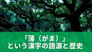 「蒲(がま)」という漢字の語源と歴史