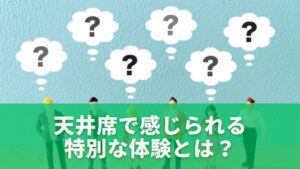 天井席で感じられる特別な体験とは？