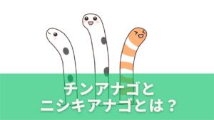チンアナゴとニシキアナゴとは？名前が似ている理由