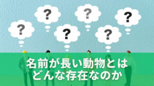 名前が長い動物とはどんな存在なのか