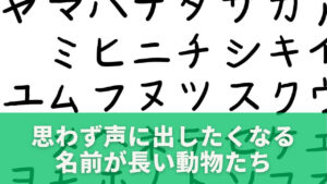 思わず声に出したくなる名前が長い動物たち