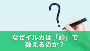 なぜイルカは「頭」で数えるのか?日本語のルールと背景
