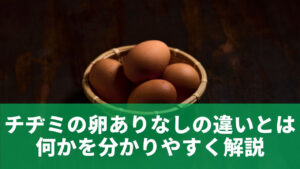 チヂミの卵ありなしの違いとは何かを分かりやすく解説